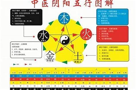 僖五行|铫字的五行属性